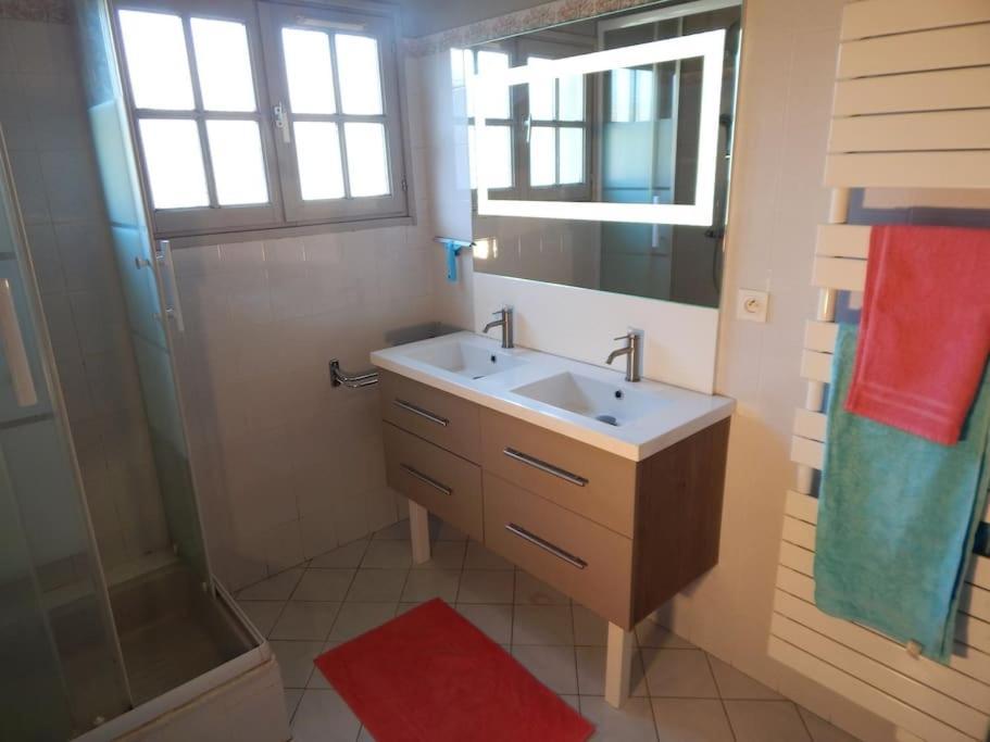St Malo Maison Avec Jardin Proche Gare Plage Intramuros Chien Admis Parking Gratuit *