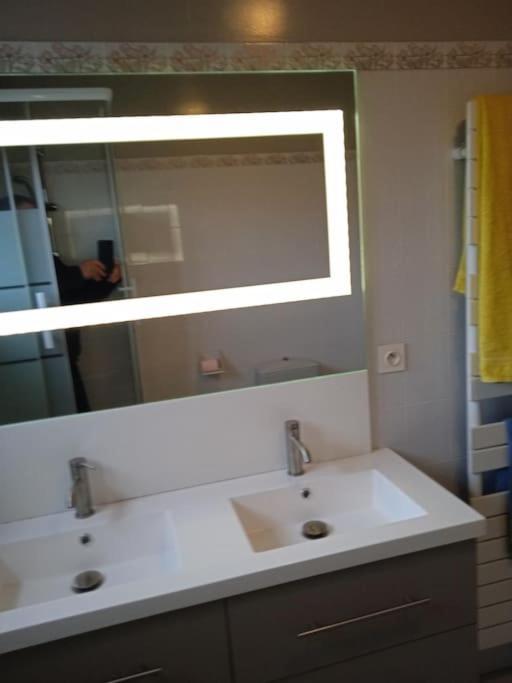 St Malo Maison Avec Jardin Proche Gare Plage Intramuros Chien Admis Parking Gratuit Holiday home *